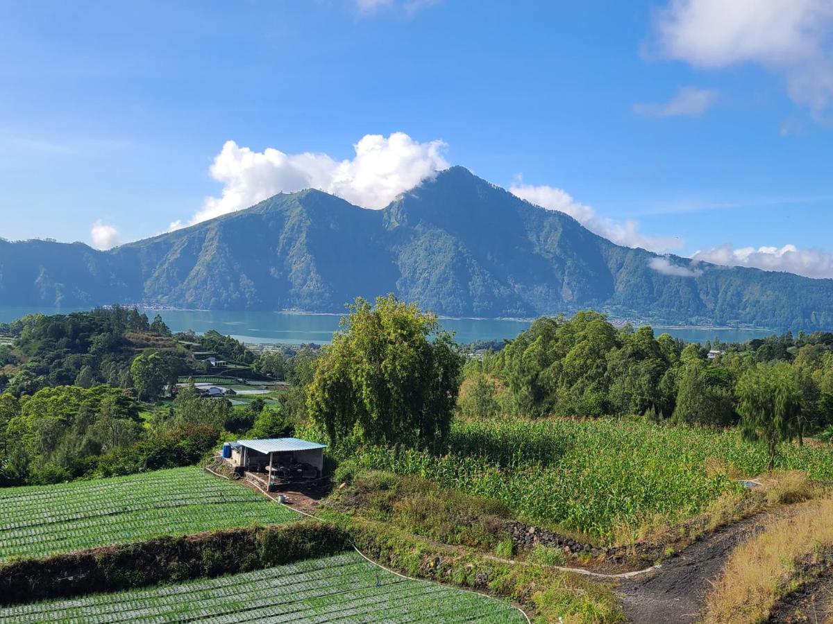 Batur Lake View 金塔马尼 外观 照片