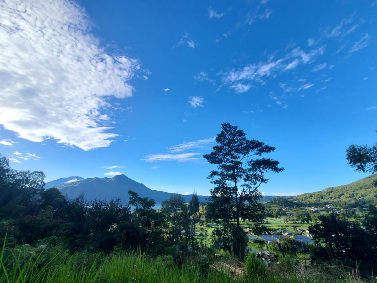 Batur Lake View 金塔马尼 外观 照片